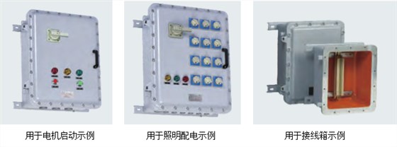 华荣防爆、ATEX防爆箱HRMD91系列应用举例