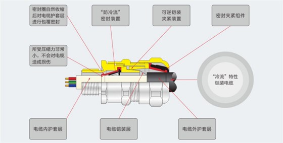 ATEX防爆格兰头“防冷流”型示例