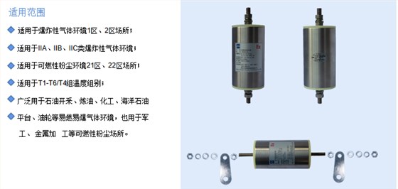 防爆地极保护器