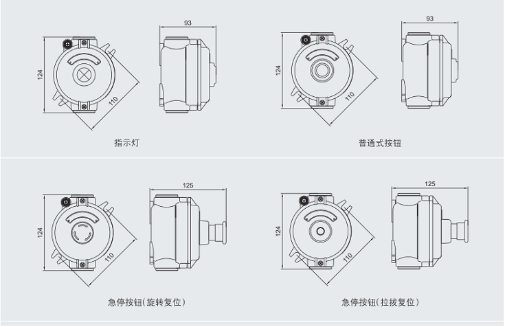 CUTR防爆主令控制器，ATEX防爆主令控制器，IECEX防爆主令控制器，华荣防爆主令控制器